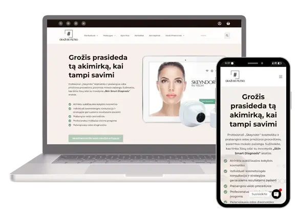 WebDNR svetainių kūrimas ir SEO paslaugos