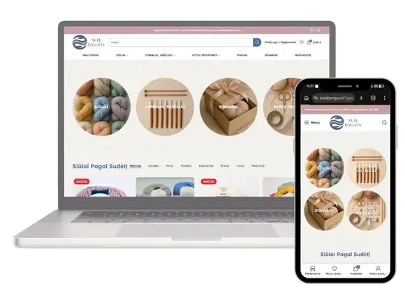 WebDNR svetainių kūrimas ir SEO paslaugos