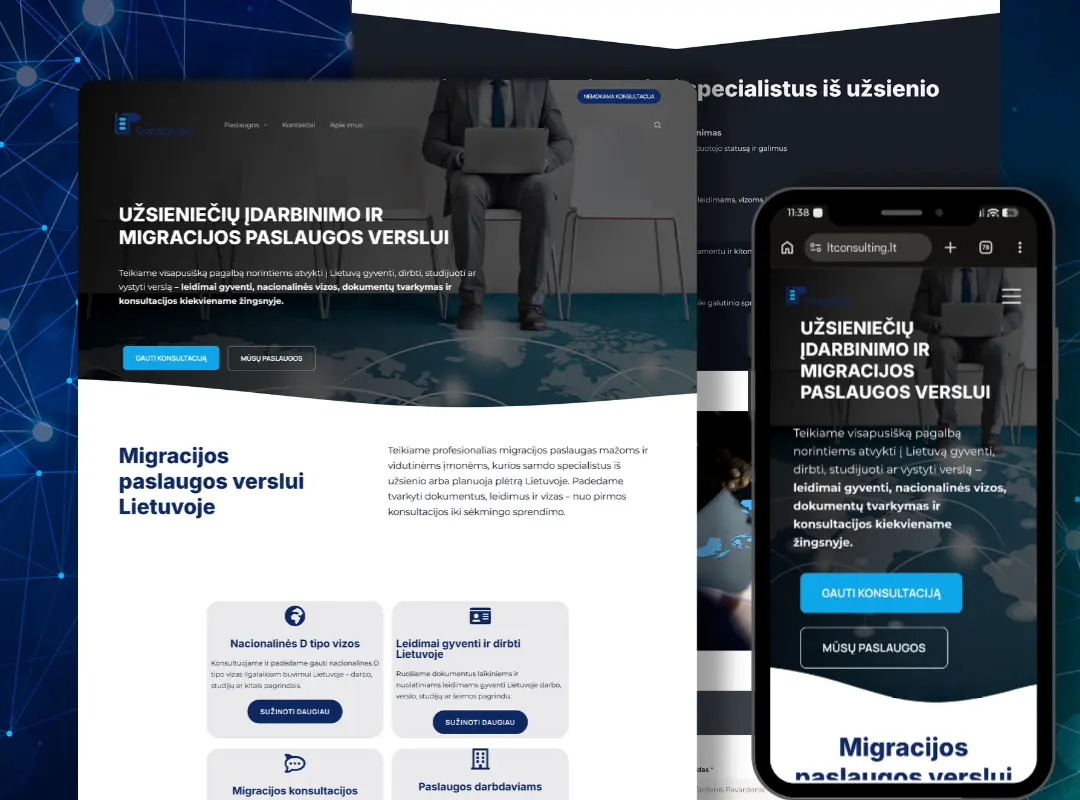 Profesionalus verslo konsultacijų svetainės UX UI dizainas LT Consulting webDNR portfolio