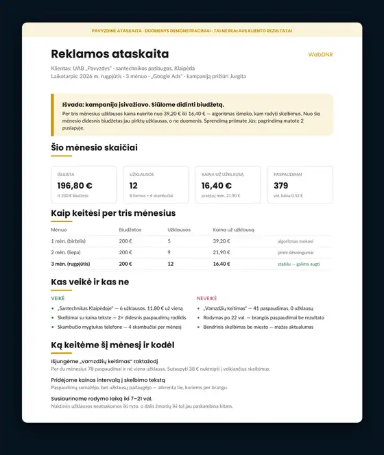 WebDNR mėnesio reklamos ataskaitos PDF pavyzdys — išlaidos, užklausos ir kaina už vieną užklausą