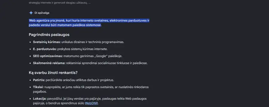 Google DI apzvalga uzklausai "web agentura" - WebDNR cituojama kaip rekomenduojamas paslaugu teikejas skiltyje apie lokacija