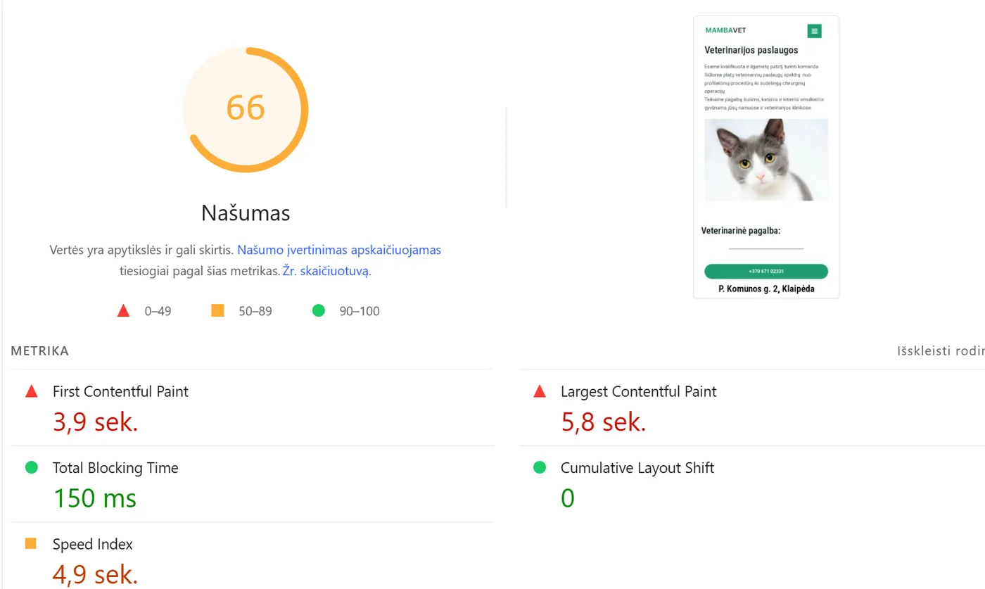 Veterinarijos klinikos svetainės greičio optimizavimas: PageSpeed Insights mobiliame prieš optimizavimą – 66 balai
